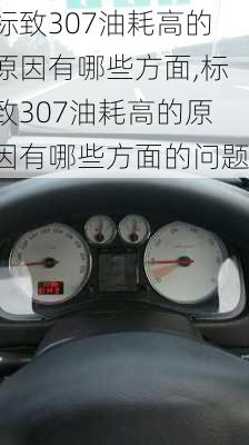 标致307油耗高的原因有哪些方面,标致307油耗高的原因有哪些方面的问题