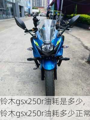 铃木gsx250r油耗是多少,铃木gsx250r油耗多少正常