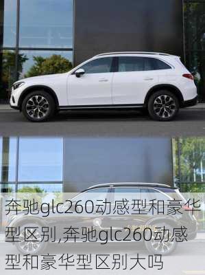 奔驰glc260动感型和豪华型区别,奔驰glc260动感型和豪华型区别大吗