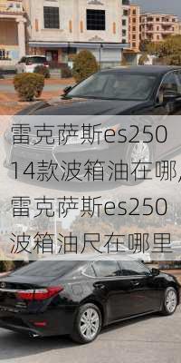 雷克萨斯es25014款波箱油在哪,雷克萨斯es250波箱油尺在哪里